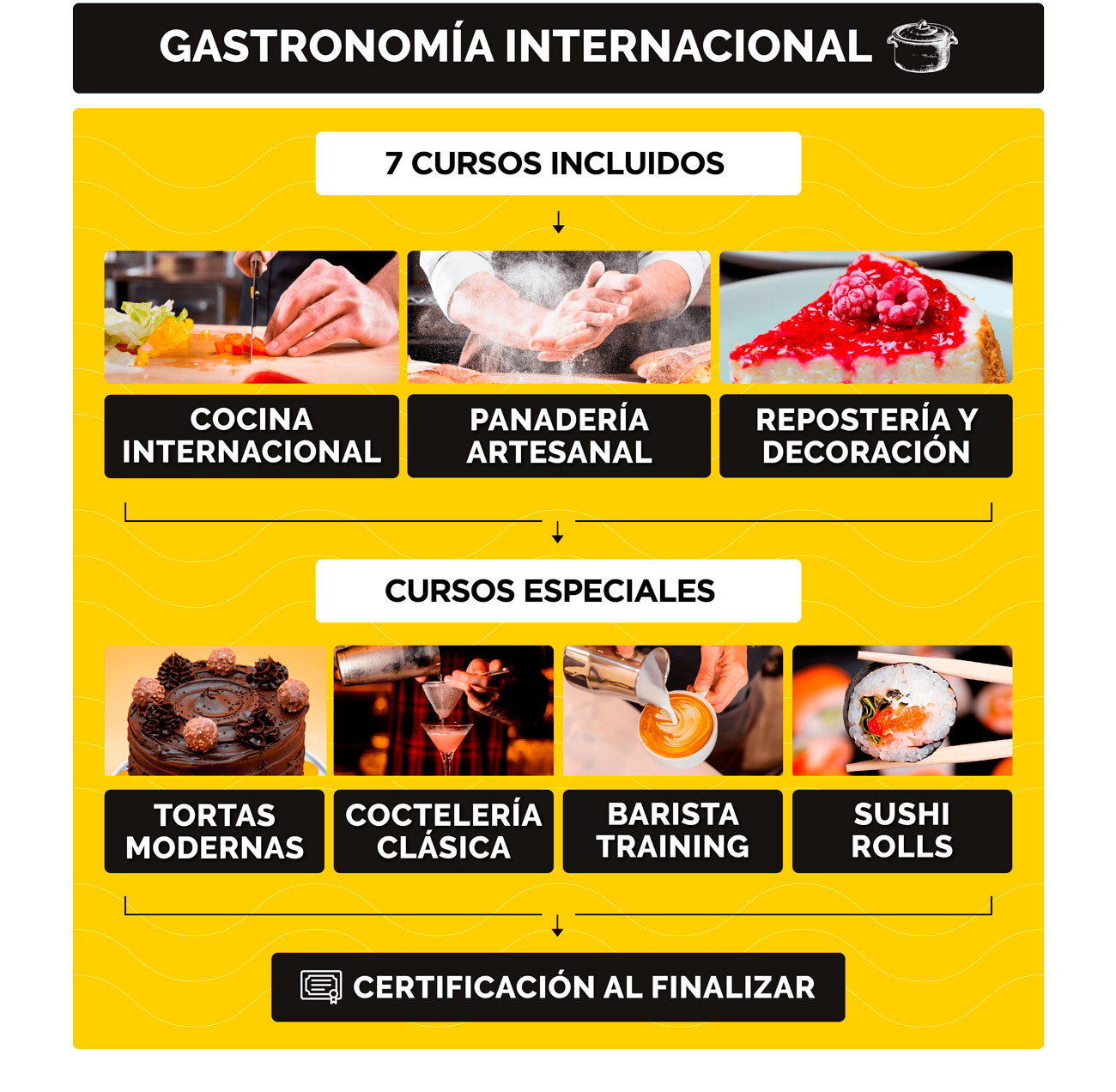Malla curricular de Gastronomía Internacional - 7 cursos incluidos